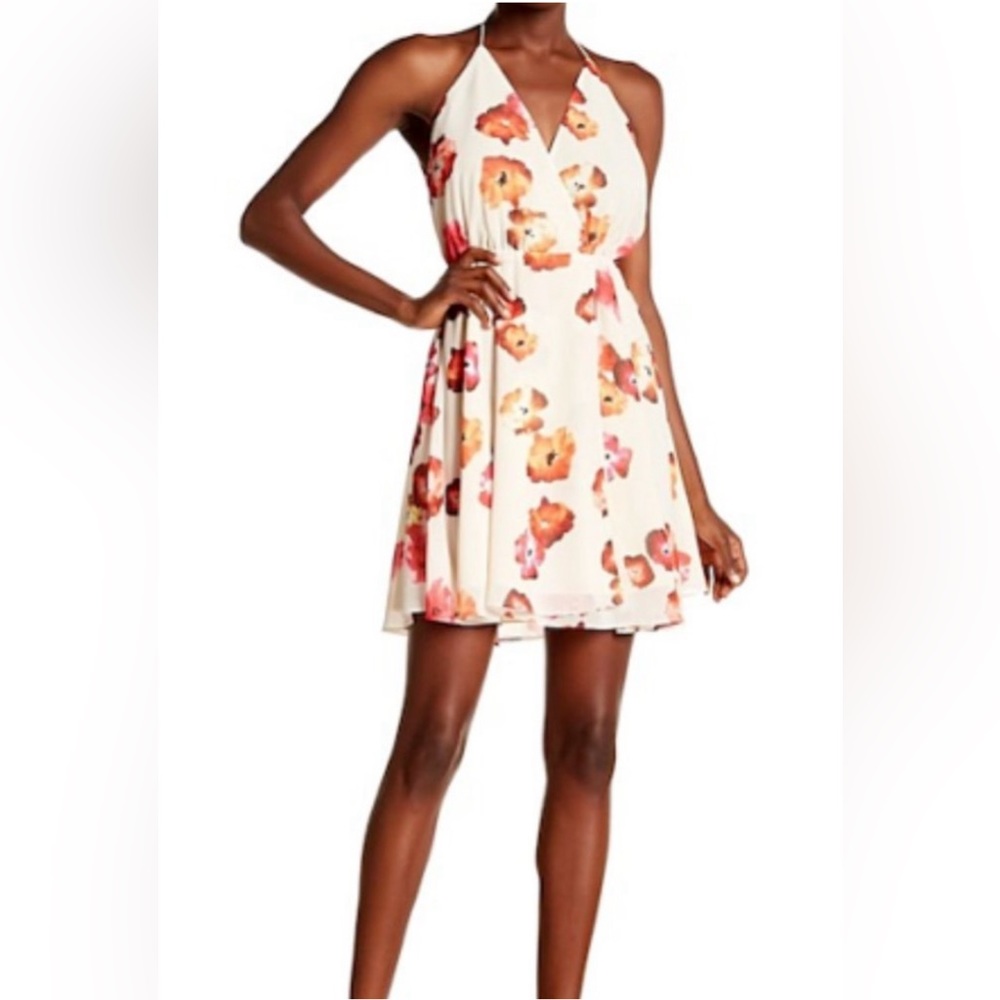 Haute hippie harmony floral dress size Small